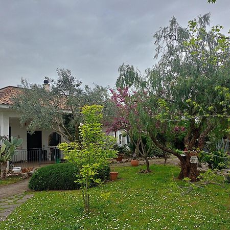 فندق La Casa Di Fede Lanuvio المظهر الخارجي الصورة