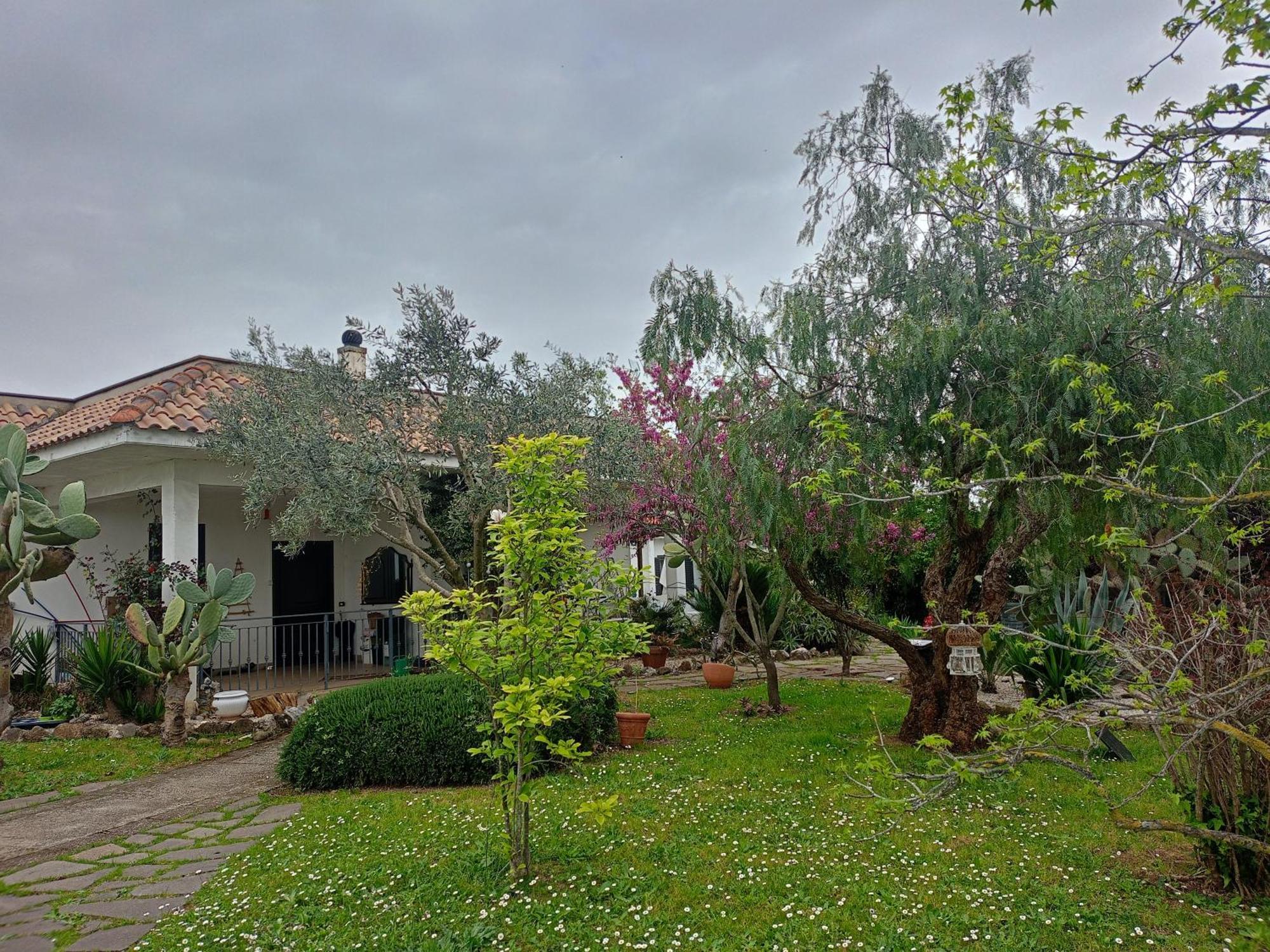 فندق La Casa Di Fede Lanuvio المظهر الخارجي الصورة
